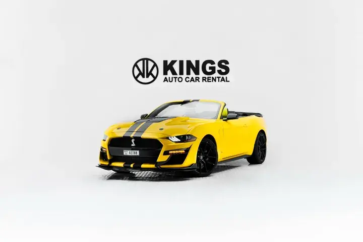 Ford Mustang Shelby Kit